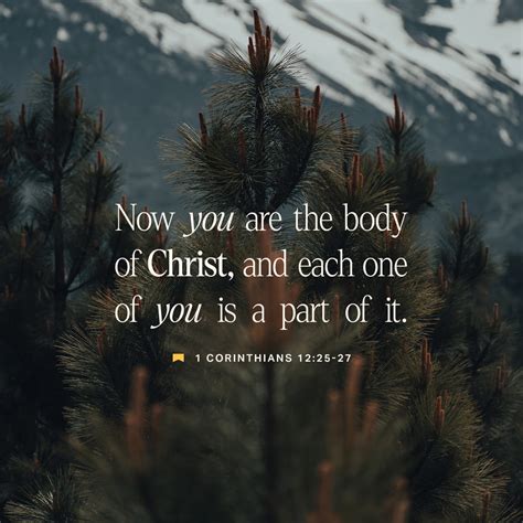 1 corinthians 12 27 nkjv.